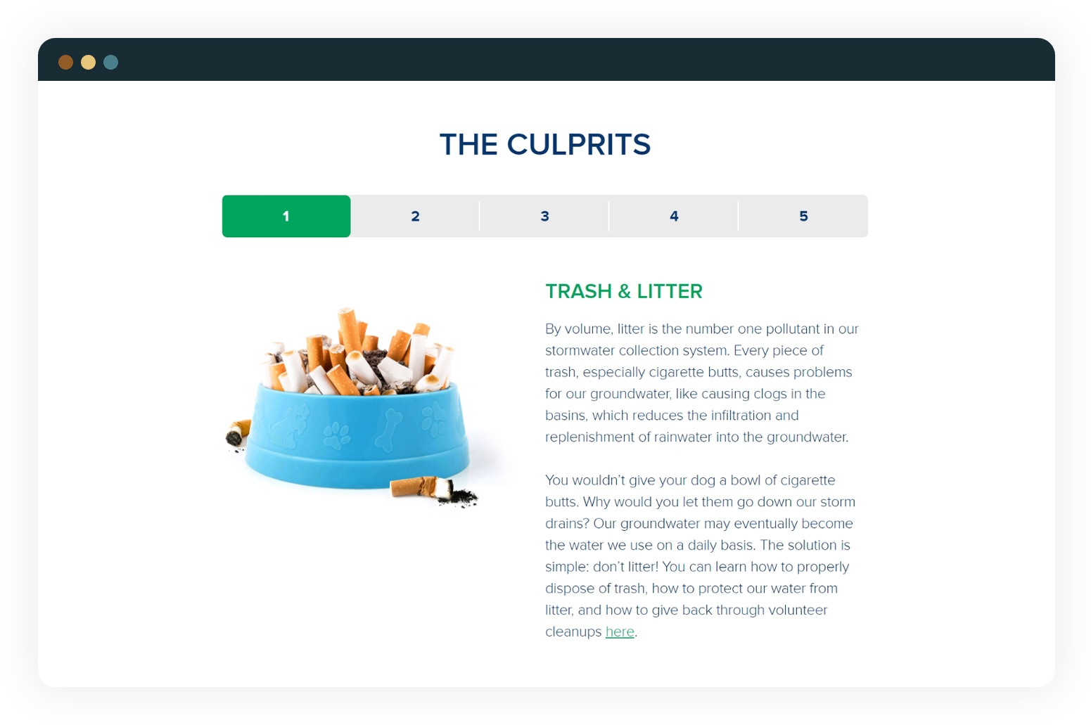 Website screenshot of KeepItClear.org, showing how trash and litter doesn't belong down storm drains just like they don't belong in your dog's water bowl