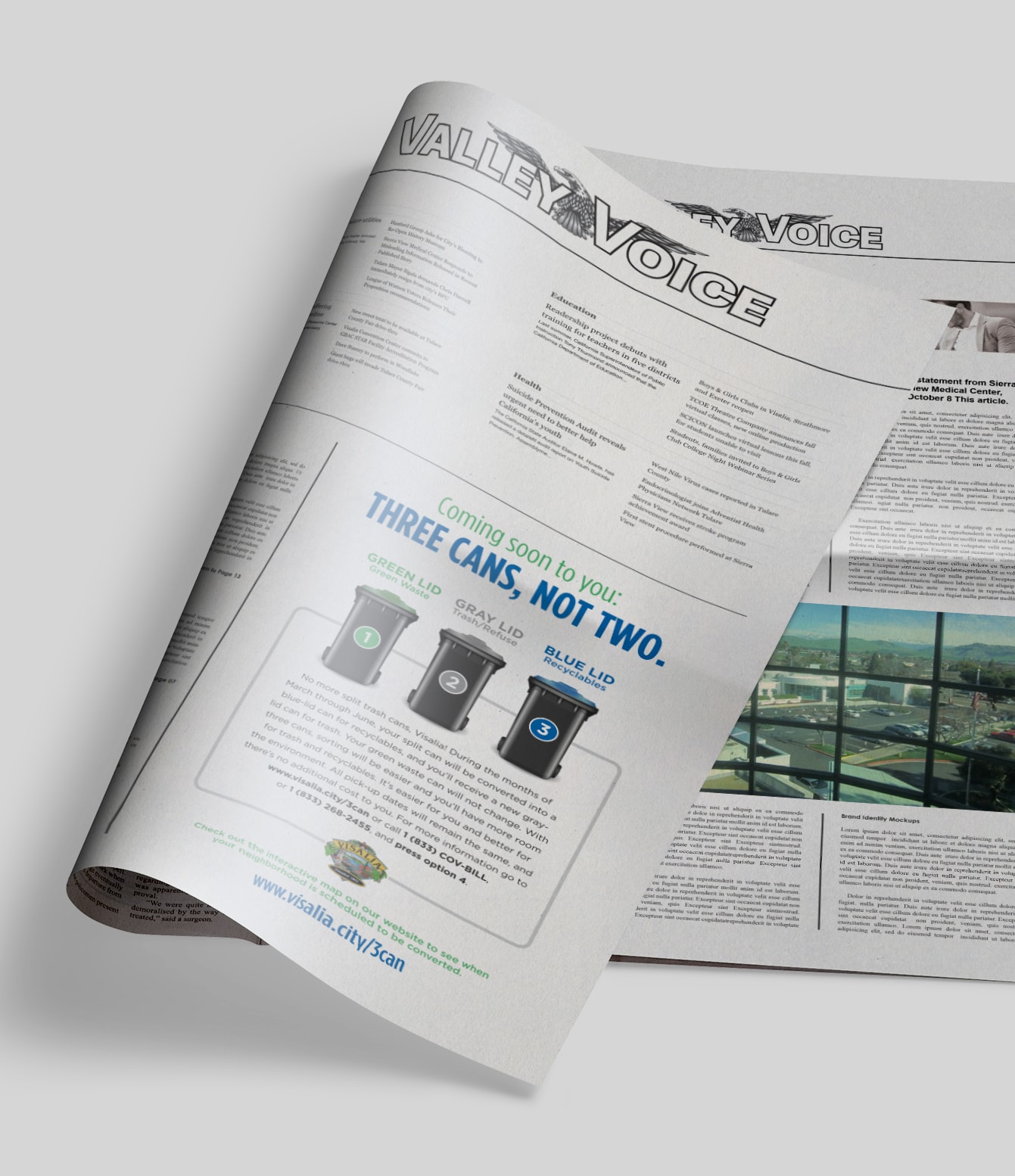 visalia-newspaper-02-min
